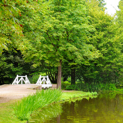 City park with a small pond, paths and a bridge.