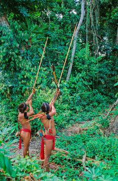 Yanomami
