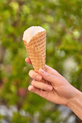 Ice cream in a waffle cone. Hand holds ice cream on background of green foliage.