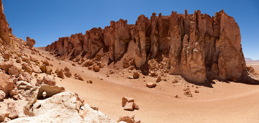 Atacama. North of Chile