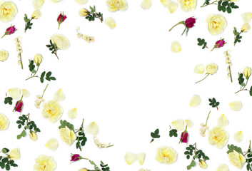 Frame of pink and white roses, buds, petals on a white background with space for text. Top view, flat lay