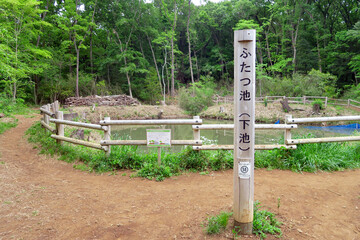 八国山緑地　ふたつ池