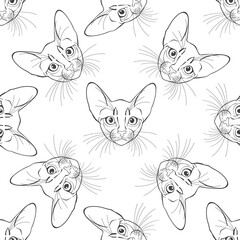 Abyssinian cat face. Seamless vector pattern. Hand-drawn vector illustration on white. Animal art background. Black and white. Outline.