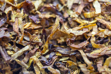 Dried loose tobacco close-up.