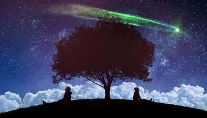 couple outdoors watching the stars in night sky © andreusK