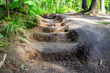 Homemade steps carved into the ground. 02 June 2020. Minsk. Belarus