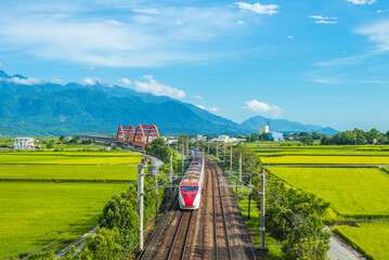 train on the field in yuli, hualien, taiwan