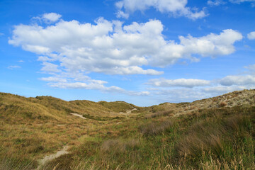 Sand dunes covered in beach grasses, with a blue sky full of fluffy white clouds above. Papamoa, New Zealand