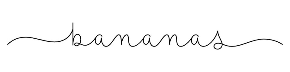 BANANAS black vector monoline calligraphy banner with swashes