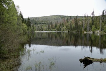 lake in sumava natural park in czechia