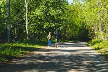 two boy friends go on a forest road in summer