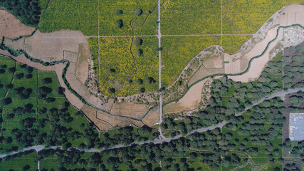 Aerial view of Tea Plantations with Mountain Background in Bandung, Indonesia.