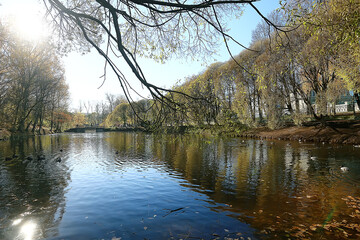 Obraz premium autumn landscape in the park / seasonal yellow landscape sunny park with fallen leaves