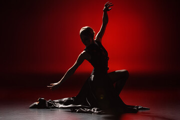silhouette of elegant woman dancing flamenco on red - obrazy, fototapety, plakaty