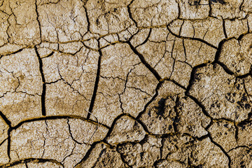 Background of the cracked dry barren soil. Global warming concept