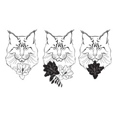 Maine coon face and freesia flowers. Hand-drawn vector illustration. Sketch. Line art. Three isolated elements for design.
