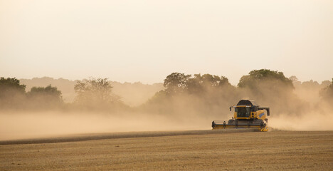 Combine Harvester harvesting on a summers day evening.  Much Hadham, Hertfordshire. UK