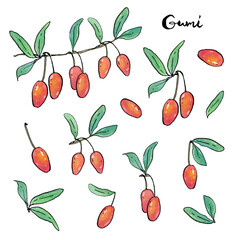 hand drawn painted set of watercolor sketch of isolated berries on white background with handwritten words
