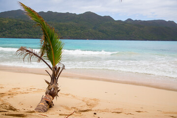 Beautiful view of the beach in the Atlantic ocean.Horizontally.