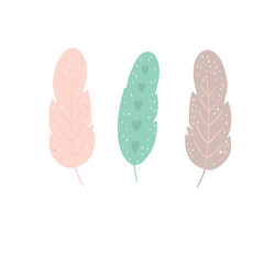  Watercolor style birds feathers set. Hand painted artistic elements. Vector illustration.