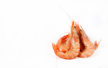 Cooked prawns on white background