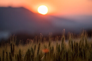 Sonnenuntergang im Sommer über Wiezenfeld im Aaretal