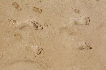 Fototapeta na wymiar children's and adult human footprints on the wet sand at the beach