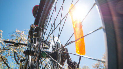 wheel of the bike in the sun. Sport, active life and healthy lifestyle concept