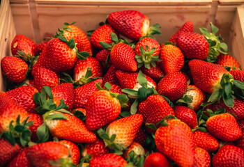 strawberry background. box with fresh strawberries. fruit background. summer enjoyment of fruit