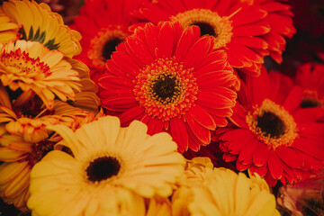 large bouquet of red and yellow flowers. bouquet of red and yellow spring flowers. flowers for a...