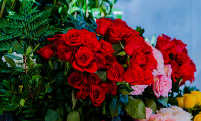 big bouquet of red flowers. bouquet of red roses. flowers for a gift