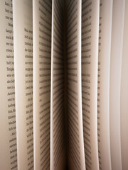 Sheets of an open book