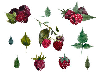 watercolor raspberry set_PR