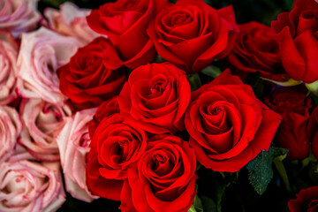 red rose petals and flowers. large bouquet of red and yellow flowers. flowers for a gift.