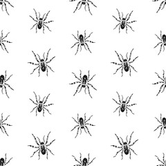 Seamless pattern of drawn poisonous spiders