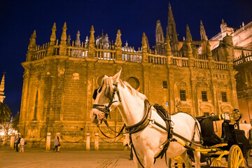 Naklejka na ściany i meble Night view of a horse with buggy near the gothic cathedral of Seville, Spain.