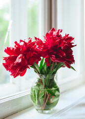 Peony red flowers in a vase on the windowsill with  old interior 