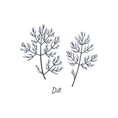 Dill doodle style hand drawn concept illustration for sale banner, advertising, poster, flyer etc. Cartoon flat free hand drawing.
