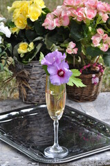 Aperitivo natural, sabor floral, perfume ideal