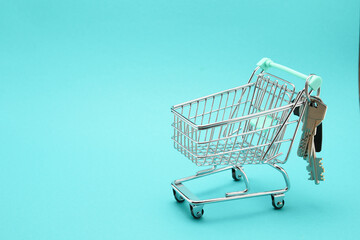 Miniature empty shopping cart on colorful background