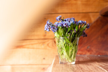 Blue wildflowers in a glass cup on a wooden background. Forget me nots.