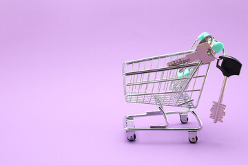 Mini shopping cart with keys for house isolated on color background 