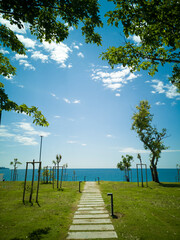 footpath in the green field leading to the sea