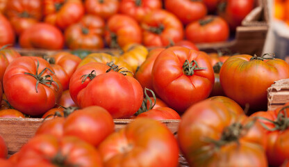 fresh tomatoes on branch in wicker baskets on counter