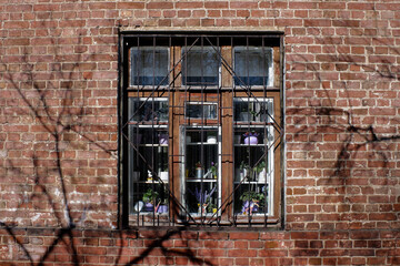 Grilled window and many flower pots behind it.