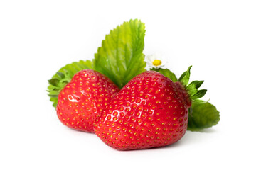 strawberries isolated on white background