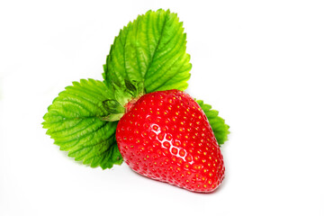Strawberry on white background. close up