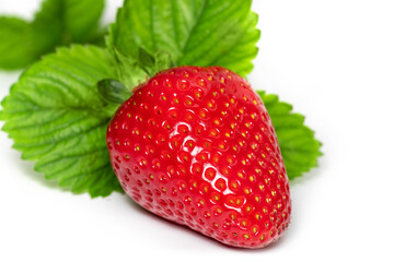 Strawberry on white background. close up