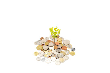 Little green sprout growing in the soil of coins. money is growing isolated on white background