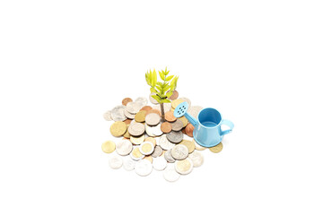 Coins money and growing plant on row of coin money. Investment and saving concept. Watering can concept for finance and banking